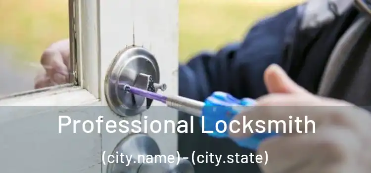 Professional Locksmith (city.name) - (city.state)